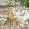 OLIVESTARFALL77DSC0778820260807 171859